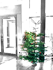 Weihnachtsbaum