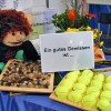 Das war der Dementia Fair Congress 2009