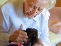 Demenzkranke streichelt eine Labradorwelpen-Tierpuppe